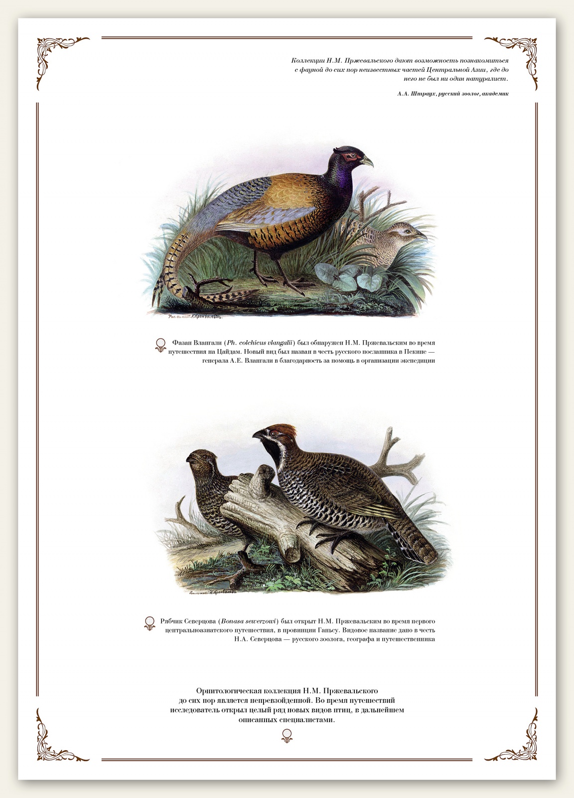 przevalsky_print8_1600pix.jpg
